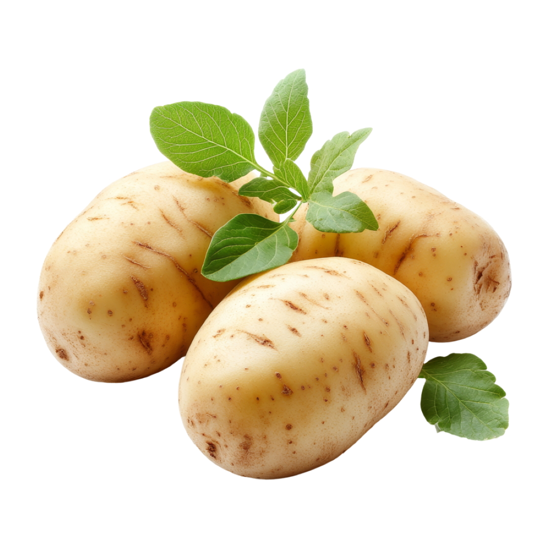 FRESH GOLF POTATO